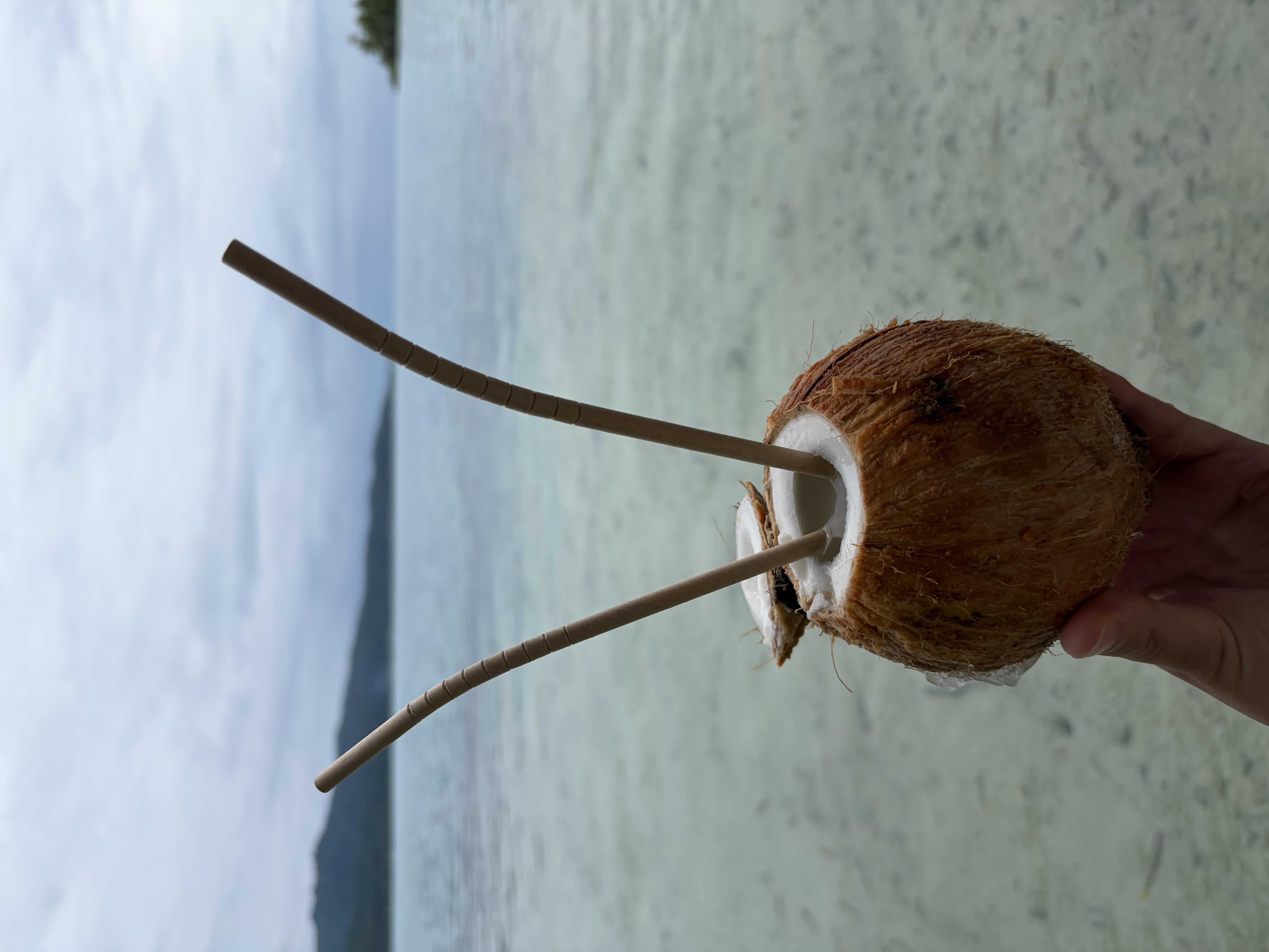 Noix de coco fraîche