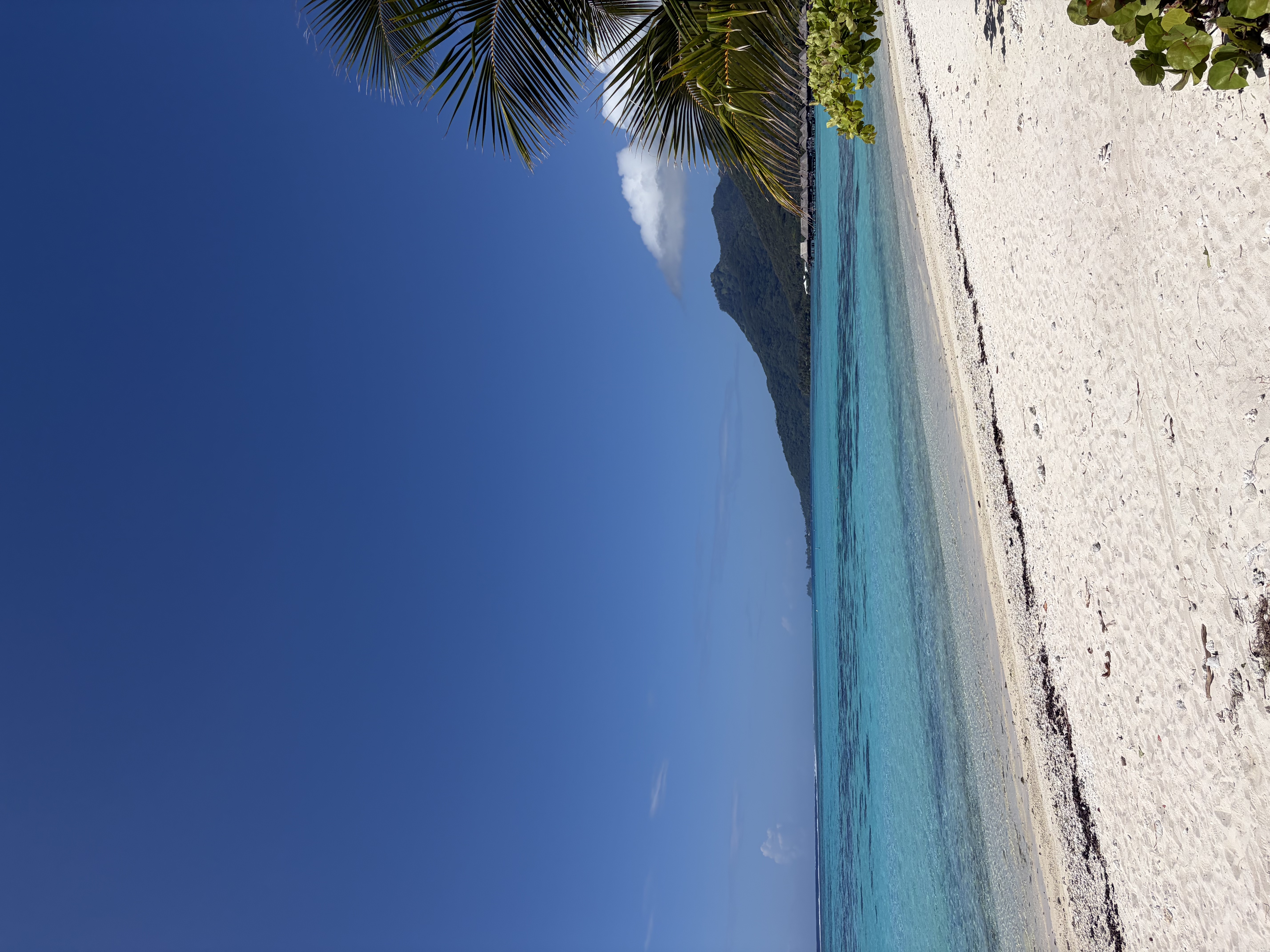 Lagon turquoise sable blanc